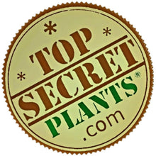 Load image into Gallery viewer, Hidden storage cactus container organize sewing knitting craft kit ammo box conceal carry and hide valuables