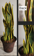 Load image into Gallery viewer, Toilet Snake Plant Plunger Cover Container Caddy Bathroom Decor