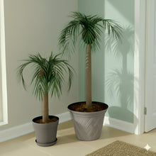 Load image into Gallery viewer, Palm Trees Toilet Plunger and Scrub Brush Covers Set Beach Theme Bathroom Accessories Island Decor for Cleaning Tools