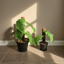 Load image into Gallery viewer, Philodendron Toilet Plunger Scrub Brush Cover Containers Leafy POTTY PLANTS Bathroom Decor