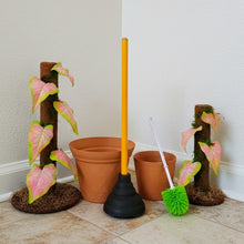 Load image into Gallery viewer, Toilet Plunger cover caddy brush cover Pink Caladium POTTY PLANTS Bathroom Decor