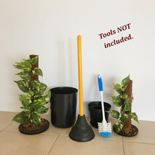 Load image into Gallery viewer, Hide Toilet Plunger and Scrub Brush Bathroom Decor Cover Container Variegated Pothos POTTY PLANTS