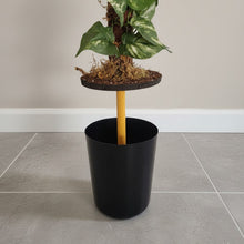 Load image into Gallery viewer, Toilet Plunger Storage Looks Like Variegated Pothos Plant Bathroom Decor Potty Plants