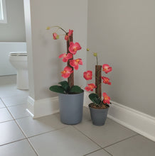 Load image into Gallery viewer, Toilet plunger and Scrub Brush Orchid Potty Plants Containers
