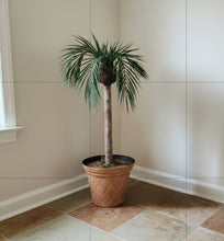 Load image into Gallery viewer, Palm tree tropical island bathroom toilet plunger cover beach decoration