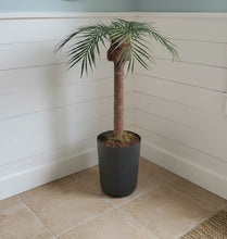 Load image into Gallery viewer, Palm tree tropical island bathroom toilet plunger cover beach decoration