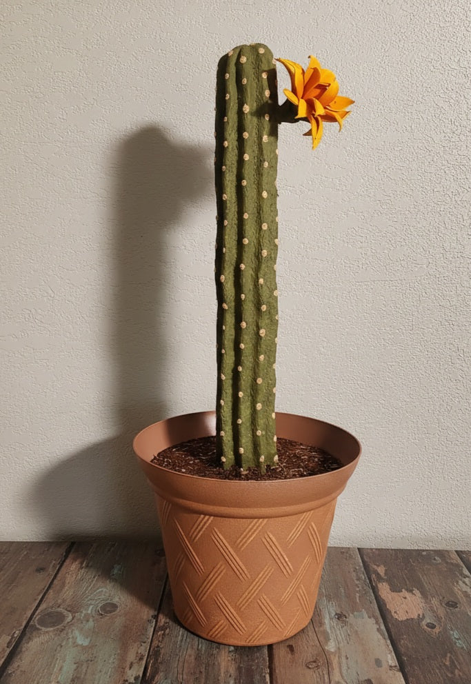 Cactus Plunger Cover Southwest Bathroom Decor Succulent Saguaro