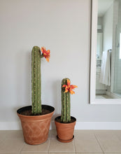 Load image into Gallery viewer, Southwest Bathroom Decor Toilet plunger and bowl scrub brush containers caddy cactus Saguaro