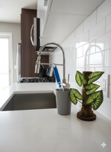 Load image into Gallery viewer, Kitchen Dishes Sponge Scrubber Container Looks Like Arrowhead Plant