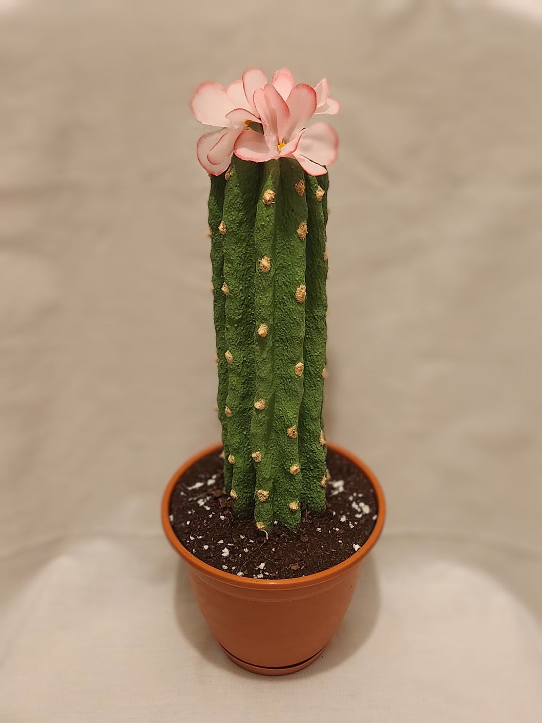 Potty Plants®️ cactus cover for toilet bowl scrub brush