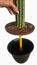 Load image into Gallery viewer, Southwest Bathroom Decor Toilet plunger and bowl scrub brush containers caddy cactus Saguaro