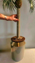 Load image into Gallery viewer, Palm tree tropical island bathroom toilet plunger cover beach decoration