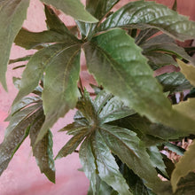 Load image into Gallery viewer, Fun Pot Plant Covers for Toilet Plunger & Scrub Brush Bathroom Humor Artificial Marijuana Pot Plant Home Decor 420 Cannabis Inspired Decorative