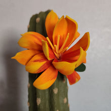 Load image into Gallery viewer, Cactus Plunger Cover Southwest Bathroom Decor Succulent Saguaro