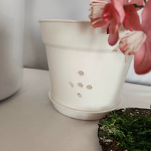 Load image into Gallery viewer, Toilet Plunger and Scrub Brush Containers Japanese Cherry Blossom or Apple Blossom, Bathroom Decor