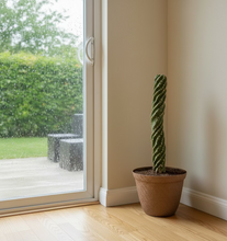 Load image into Gallery viewer, Spiral Cactus Container Tornado Twisted Cactus Top Secret Plants Hidden Storage