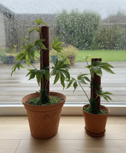 Load image into Gallery viewer, Fun Pot Plant Covers for Toilet Plunger & Scrub Brush Bathroom Humor Artificial Marijuana Pot Plant Home Decor 420 Cannabis Inspired Decorative