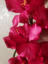 Load image into Gallery viewer, Gladiolus Potty Plants® Toilet Plunger Cover