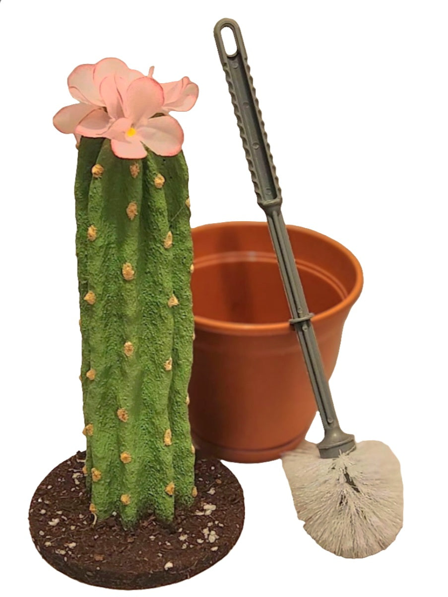 Toilet brush plant sales