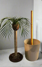 Load image into Gallery viewer, Palm tree tropical island bathroom toilet plunger cover beach decoration