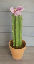 Load image into Gallery viewer, Back scratcher in cactus container Southwest desert decor