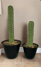 Load image into Gallery viewer, Southwest Bathroom Decor Toilet plunger and bowl scrub brush containers caddy cactus Saguaro