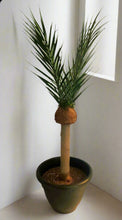 Load image into Gallery viewer, Toilet Scrub Brush Holder Tropical Island Bathroom Beach Palm Tree Decor Potty Plants