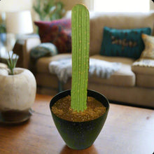 Load image into Gallery viewer, Top Secret Cactus Giant Pin Cushion for Sewing Supplies OR Hide Valuables And More