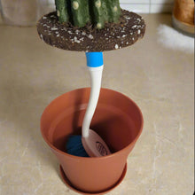Load image into Gallery viewer, Kitchen cactus dishes washing scrub brush cover scrubber keeper