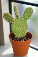 Load image into Gallery viewer, Hide valuables keys coins jewelry candy flash drive SD card memory stick office supplies prickly pear cactus Southwest decoration