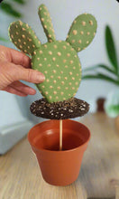 Load image into Gallery viewer, Hide valuables keys coins jewelry candy flash drive SD card memory stick office supplies prickly pear cactus Southwest decoration