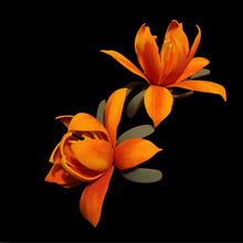 Load image into Gallery viewer, Cactus Plunger Cover Southwest Bathroom Decor Succulent Saguaro