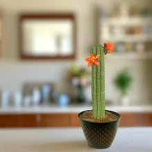 Load image into Gallery viewer, Top Secret Cactus Giant Pin Cushion for Sewing Supplies OR Hide Valuables And More