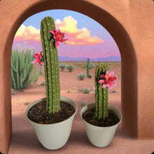 Load image into Gallery viewer, Southwest Bathroom Decor Toilet plunger and bowl scrub brush containers caddy cactus Saguaro