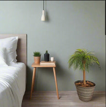 Load image into Gallery viewer, Top Secret Palm Tree Decor Hides Items Discreetly Hidden Compartment Secret Stash Office Decor