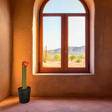 Load image into Gallery viewer, Cactus Plunger Cover Southwest Bathroom Decor Succulent Saguaro