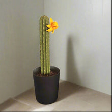 Load image into Gallery viewer, Cactus Plunger Cover Southwest Bathroom Decor Succulent Saguaro