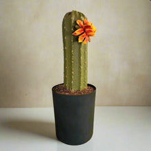 Load image into Gallery viewer, Bellows Toilet Plunger Cactus Cover Container Potty Plants Bathroom Decor