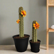 Load image into Gallery viewer, Southwest Bathroom Decor Toilet plunger and bowl scrub brush containers caddy cactus Saguaro