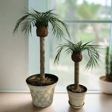 Load image into Gallery viewer, Palm Trees Toilet Plunger and Scrub Brush Covers Set Beach Theme Bathroom Accessories Island Decor for Cleaning Tools