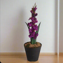 Load image into Gallery viewer, Toilet Plunger Cover Purple Iris Pink Gladiolus Flowers Disguise Your Bathroom Tools Garden Decor With POTTY PLANTS