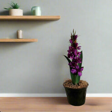 Load image into Gallery viewer, Toilet Plunger Cover Purple Iris Pink Gladiolus Flowers Disguise Your Bathroom Tools Garden Decor With POTTY PLANTS