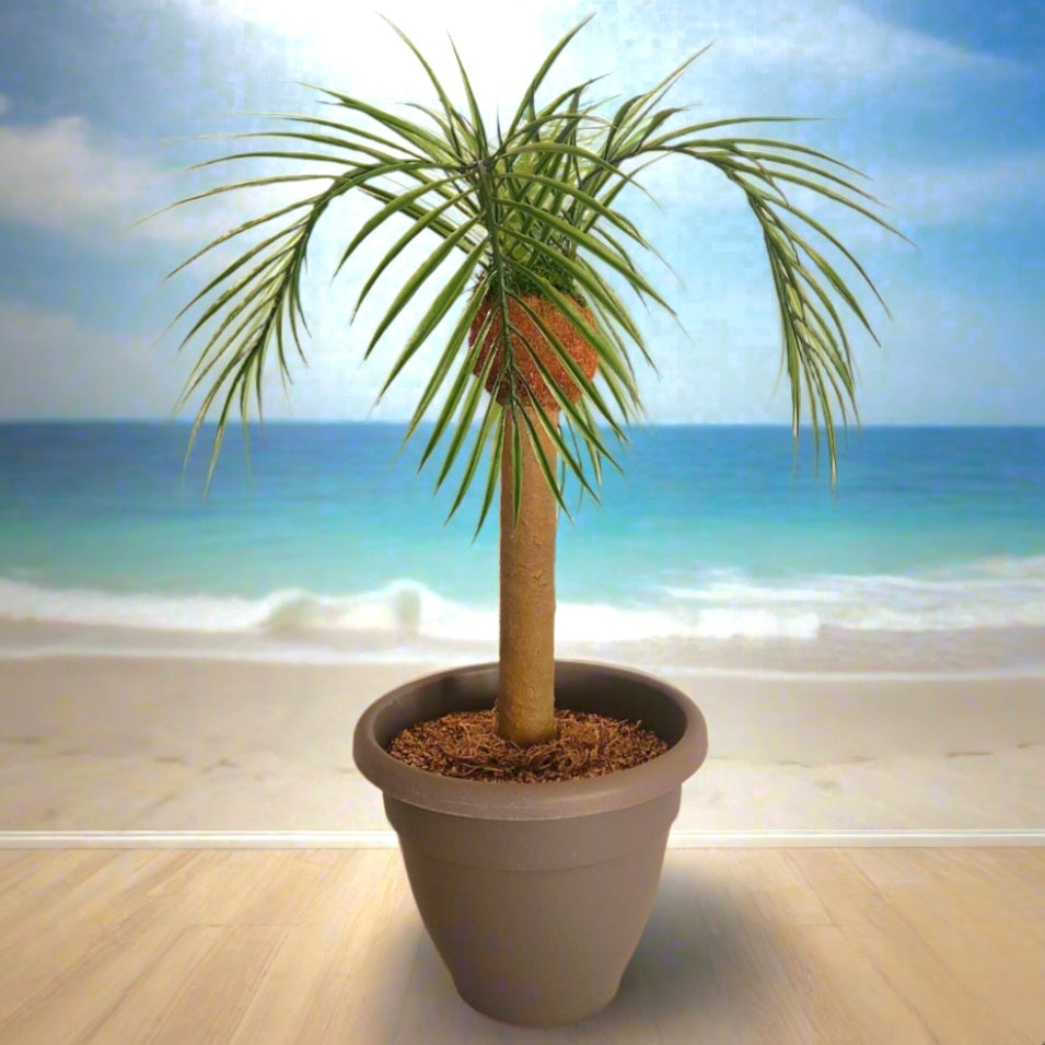 bathroom palm plant Toilet Scrub Brush Holder Tropical Island Bathroom Beach Palm Tree Decor  Potty Plants