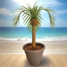 Load image into Gallery viewer, Toilet Scrub Brush Holder Tropical Island Bathroom Beach Palm Tree Decor Potty Plants