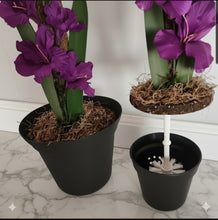 Load image into Gallery viewer, Toilet Plunger & Scrub Brush Containers Pink Gladiola Iris Sword Lily Flowers POTTY PLANTS