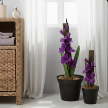 Load image into Gallery viewer, Toilet Plunger & Scrub Brush Containers Pink Gladiola Iris Sword Lily Flowers POTTY PLANTS
