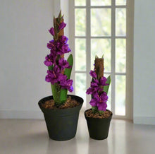 Load image into Gallery viewer, Toilet Plunger & Scrub Brush Containers Pink Gladiola Iris Sword Lily Flowers POTTY PLANTS