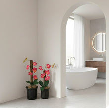 Load image into Gallery viewer, Toilet plunger and Scrub Brush Orchid Potty Plants Containers