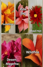 Load image into Gallery viewer, Cactus Toothpick Holder Southwest Decor Succulent Key Stash Small Items