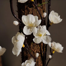 Load image into Gallery viewer, Toilet Plunger and Scrub Brush Containers Japanese Cherry Blossom or Apple Blossom, Bathroom Decor